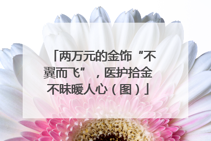 两万元的金饰“不翼而飞”，医护拾金不昧暖人心（图）