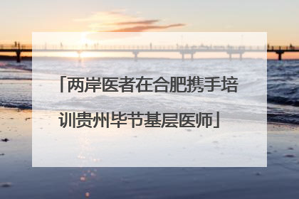 两岸医者在合肥携手培训贵州毕节基层医师