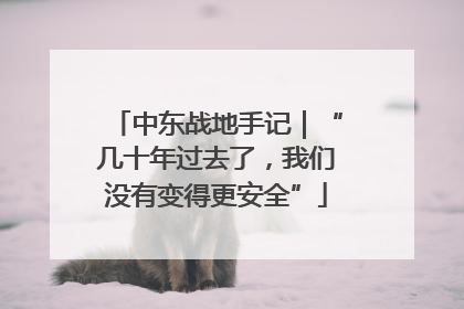 中东战地手记｜“几十年过去了，我们没有变得更安全”