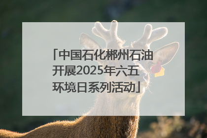 中国石化郴州石油开展2025年六五环境日系列活动