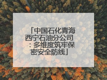 中国石化青海西宁石油分公司：多维度筑牢保密安全防线