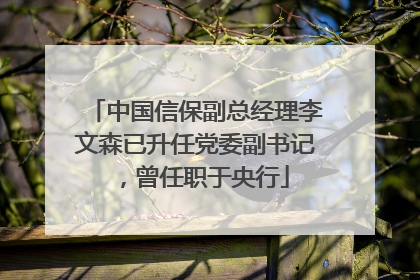 中国信保副总经理李文森已升任党委副书记，曾任职于央行