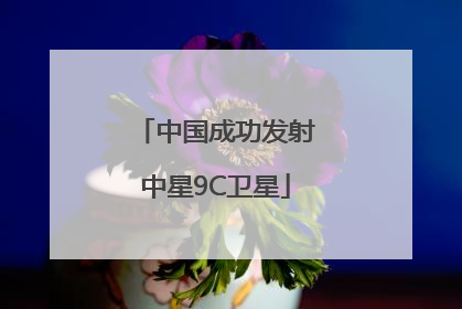中国成功发射中星9C卫星