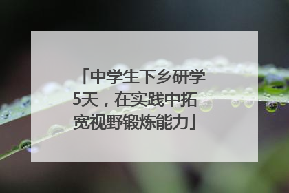 中学生下乡研学5天，在实践中拓宽视野锻炼能力