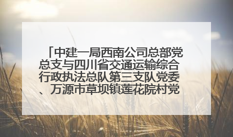 中建一局西南公司总部党总支与四川省交通运输综合行政执法总队第三支队党委、万源市草坝镇莲花院村党支部开展党建联建