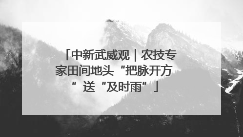 中新武威观｜农技专家田间地头“把脉开方”送“及时雨”