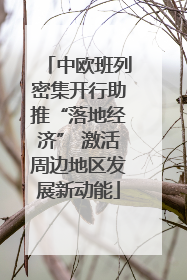 中欧班列密集开行助推“落地经济” 激活周边地区发展新动能