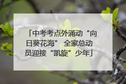 中考考点外涌动“向日葵花海” 全家总动员迎接“凯旋”少年