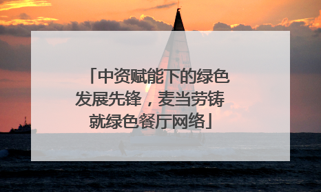 中资赋能下的绿色发展先锋，麦当劳铸就绿色餐厅网络
