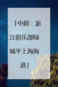 中超：浙江俱乐部绿城平上海海港