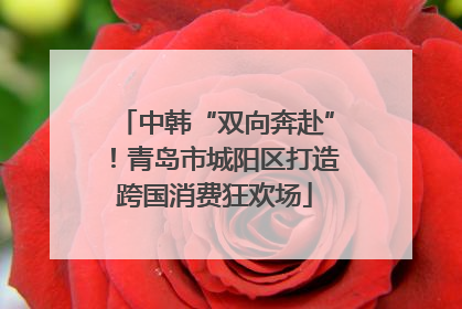 中韩“双向奔赴”！青岛市城阳区打造跨国消费狂欢场