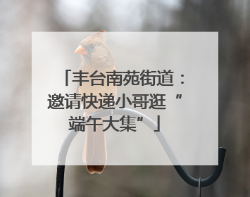 丰台南苑街道：邀请快递小哥逛“端午大集”