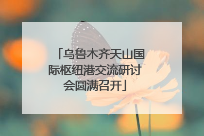 乌鲁木齐天山国际枢纽港交流研讨会圆满召开