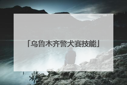 乌鲁木齐警犬赛技能