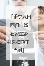 乐享夏日 回归自然 石家庄乡村采摘游正当时