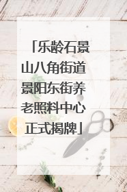 乐龄石景山八角街道景阳东街养老照料中心正式揭牌