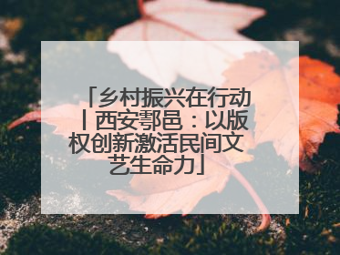 乡村振兴在行动丨西安鄠邑：以版权创新激活民间文艺生命力