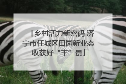 乡村活力新密码 济宁市任城区田园新业态收获好“丰”景