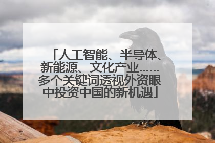 人工智能、半导体、新能源、文化产业……多个关键词透视外资眼中投资中国的新机遇
