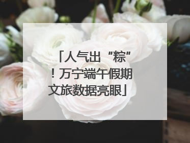 人气出“粽”！万宁端午假期文旅数据亮眼