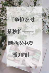 争抢农时插秧忙——陕西汉中夏播见闻