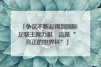 争议不断却得到国际足联主席力挺：这是“真正的世界杯”