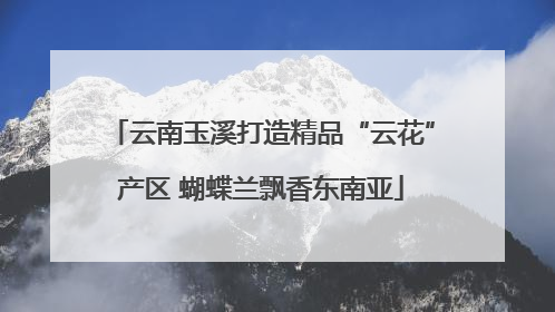 云南玉溪打造精品“云花”产区 蝴蝶兰飘香东南亚
