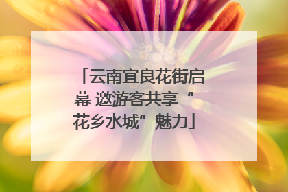 云南宜良花街启幕 邀游客共享“花乡水城”魅力