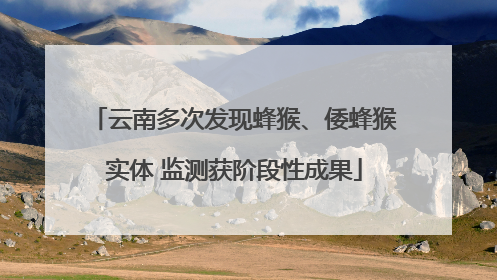 云南多次发现蜂猴、倭蜂猴实体 监测获阶段性成果