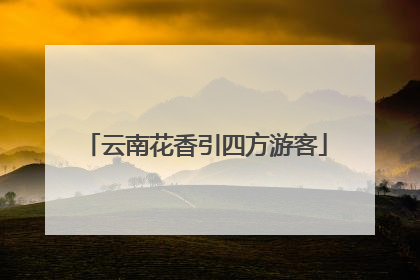 云南花香引四方游客
