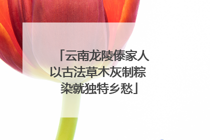云南龙陵傣家人以古法草木灰制粽 染就独特乡愁