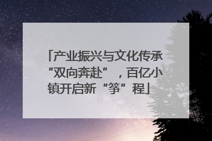 产业振兴与文化传承“双向奔赴”，百亿小镇开启新“筝”程