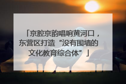 京腔京韵唱响黄河口，东营区打造“没有围墙的文化教育综合体”
