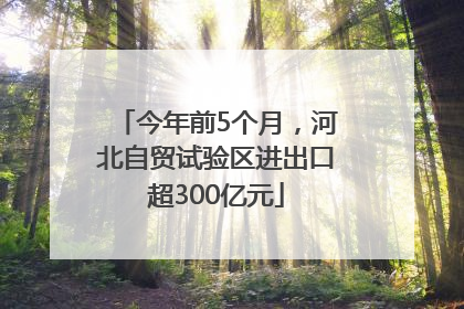 今年前5个月，河北自贸试验区进出口超300亿元