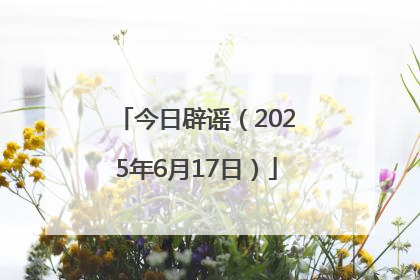 今日辟谣（2025年6月17日）