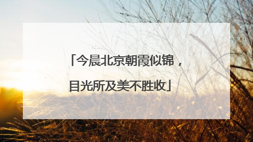 今晨北京朝霞似锦，目光所及美不胜收