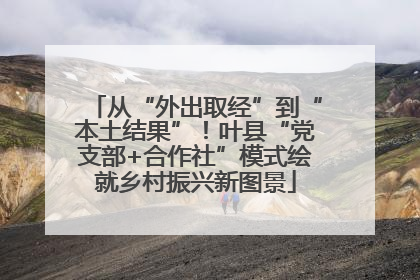 从“外出取经”到“本土结果”！叶县“党支部+合作社”模式绘就乡村振兴新图景