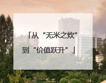 从“无米之炊”到“价值跃升”