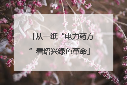从一纸“电力药方”看绍兴绿色革命