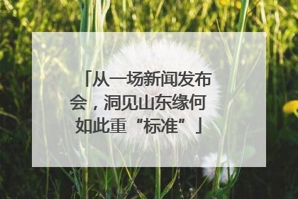 从一场新闻发布会，洞见山东缘何如此重“标准”