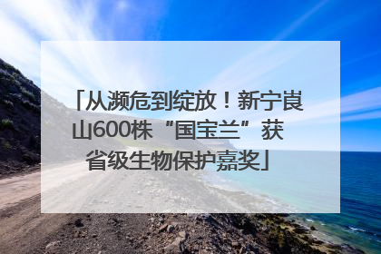从濒危到绽放！新宁崀山600株“国宝兰”获省级生物保护嘉奖
