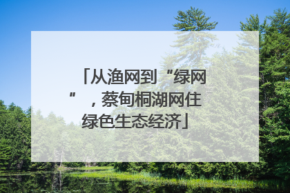 从渔网到“绿网”，蔡甸桐湖网住绿色生态经济