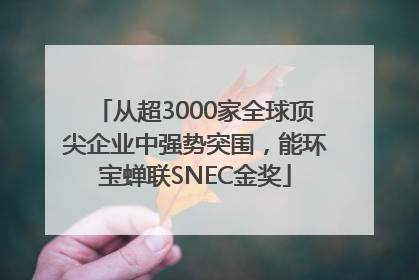 从超3000家全球顶尖企业中强势突围，能环宝蝉联SNEC金奖