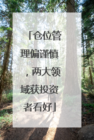 仓位管理偏谨慎，两大领域获投资者看好