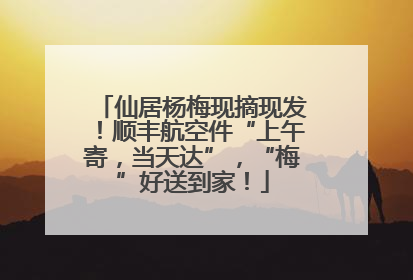 仙居杨梅现摘现发！顺丰航空件“上午寄，当天达”，“梅”好送到家！