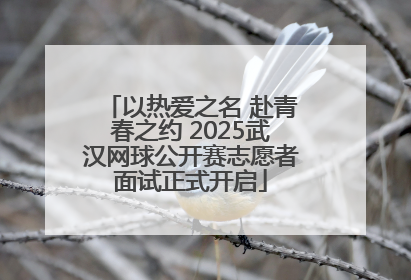 以热爱之名 赴青春之约 2025武汉网球公开赛志愿者面试正式开启