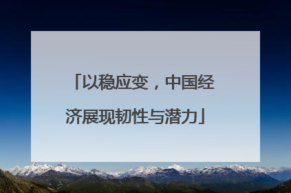 以稳应变，中国经济展现韧性与潜力