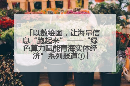 以数绘图，让海量信息“跑起来”——“绿色算力赋能青海实体经济”系列报道①