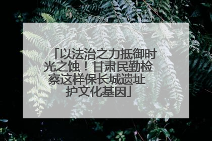 以法治之力抵御时光之蚀！甘肃民勤检察这样保长城遗址 护文化基因