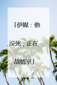 伊媒：他没死，正在战情室